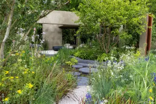 Chelsea Flower Show 2026: Peisaje care inspiră spre un viitor sustenabil