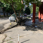 IMG-7694