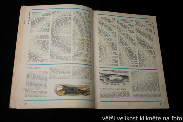 IMG-3584.jpg