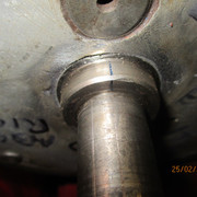 IMG-8346