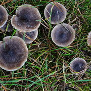 DSC00005