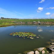 IMG-1544