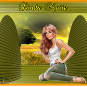 NOVA-CARLA-114