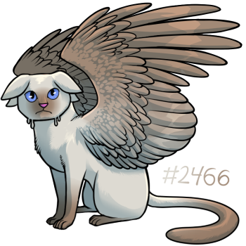 Pet Image