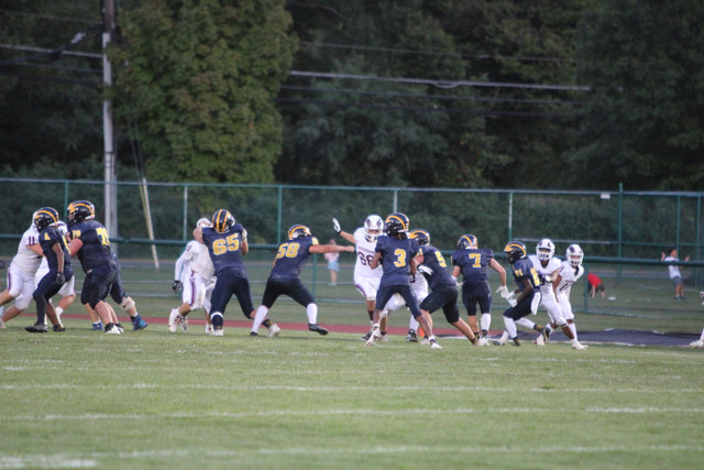 IMG-4446.jpg