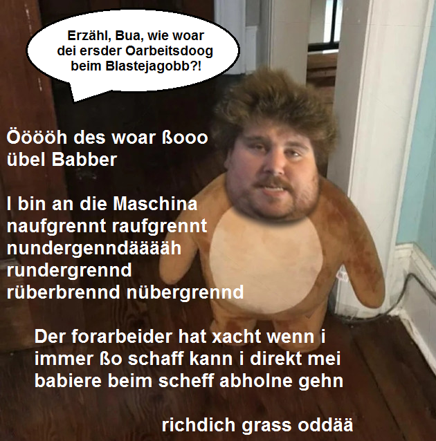 teddyplaste.png