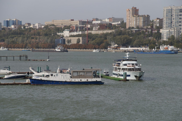 DSC08275.jpg