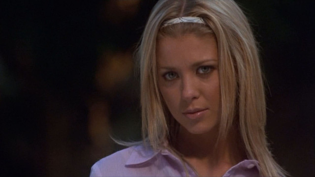van-wilder.jpg