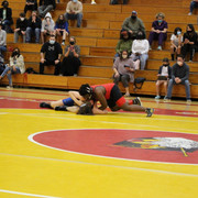 IMG-0424