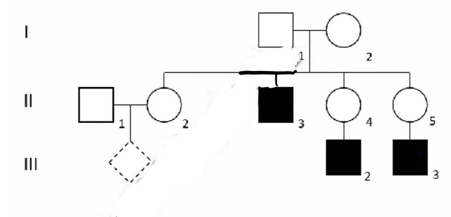 IMG-0130