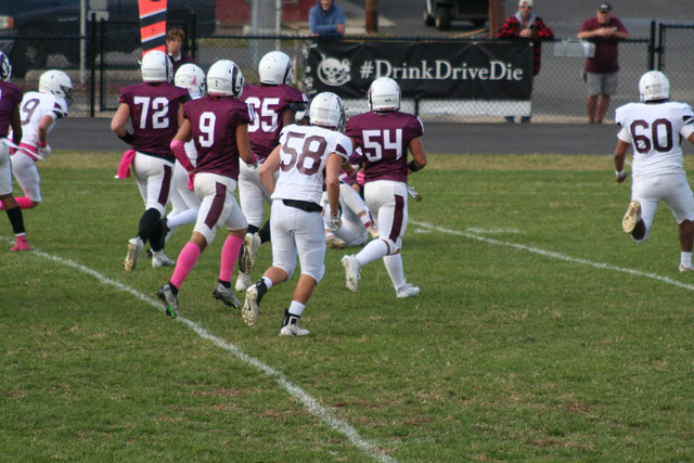 IMG-0458.jpg