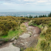 IMGP1421