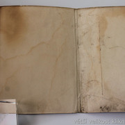 IMG-0254