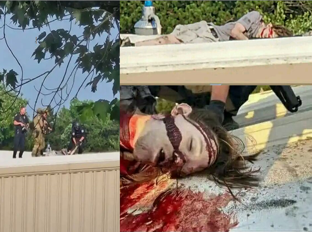 USMITTADEAD.png