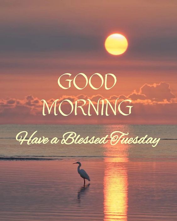 tuesday