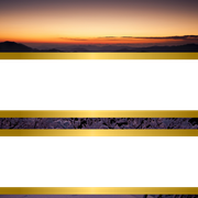 61