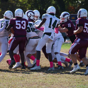 IMG-4449