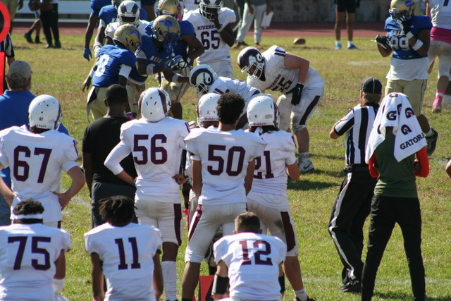 IMG-1341.jpg