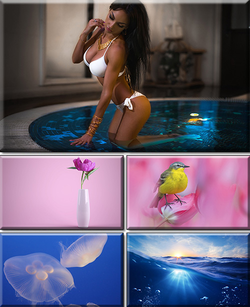 Computer Desktop Wallpapers Collection. Part 3476