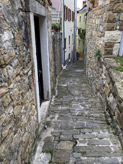 IMG-2318