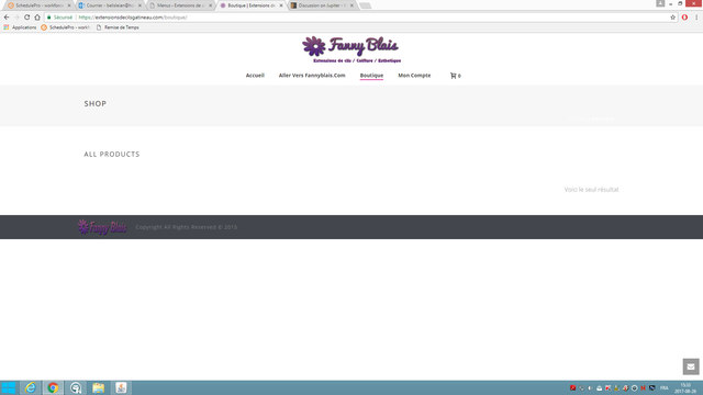 woocommerce bug