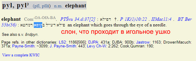elephant