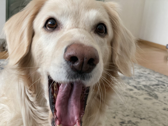 4-EF91-F9-A-B3-C5-4855-839-A-29-DFAD86-D