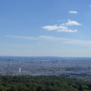 IMG-2245