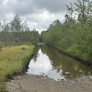 IMG 4536