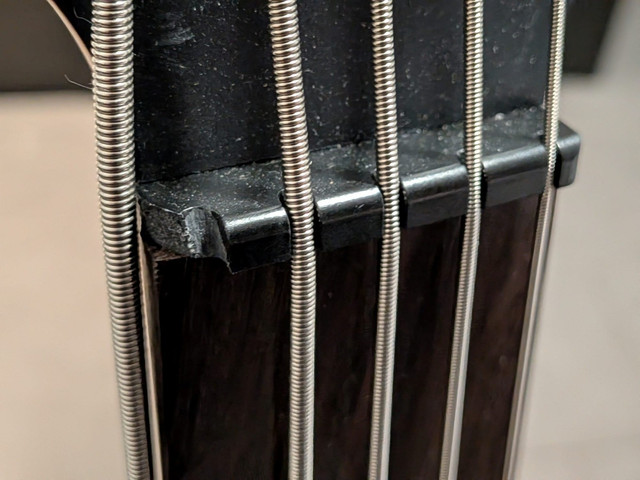 bass defect