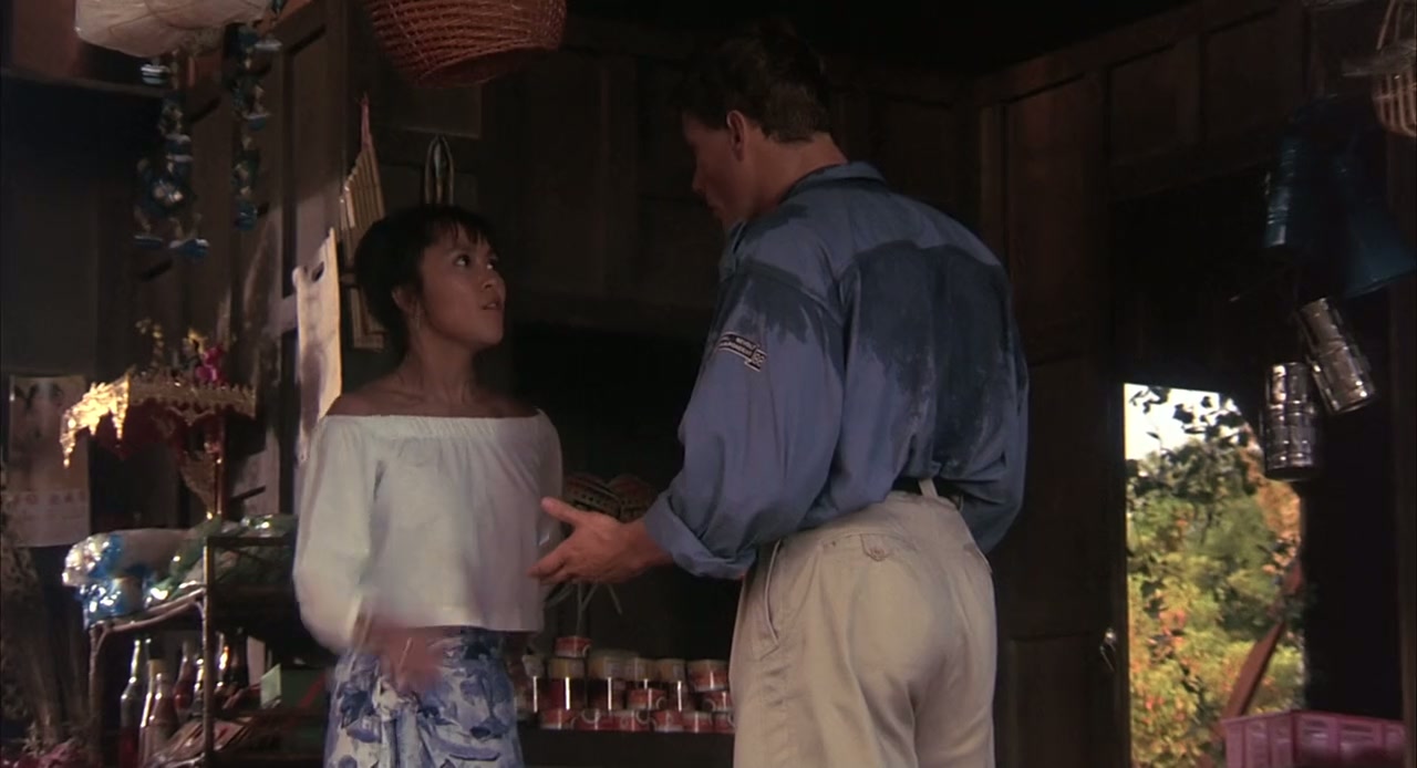 Kickboxer Screenshot