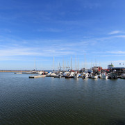 IMG-1484