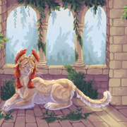 Amazonka