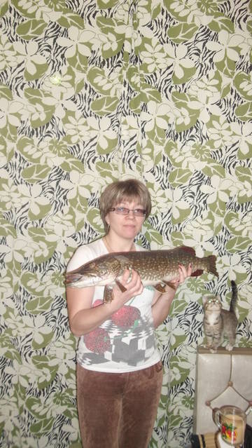 https://i.ibb.co/hR4fyQZy/ca5KH.jpg