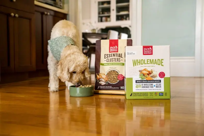 A Healthier Alternative to Kibble for Dogs
