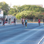 IMG 0369