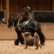 IMG-6166