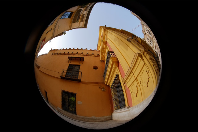 DSCF8923.jpg