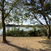 IMG 7879