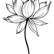 01-1540