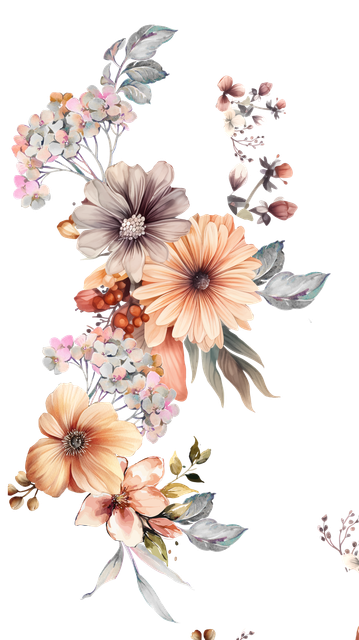 524192557d0a7f1a6e46c3dae2c7b256.png