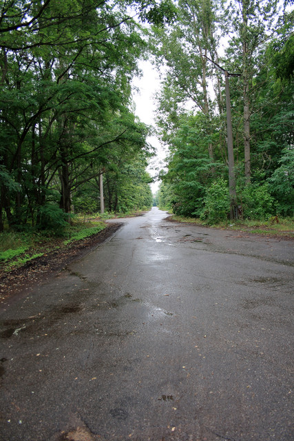 IMG-6064.jpg