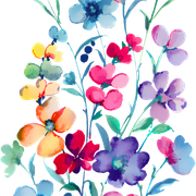 3d37ecabbd7c798481a0ec72900fa45d