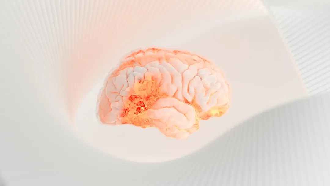 Brainless Introduces AI Interface Components for Developers