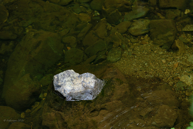 DSF6595.jpg