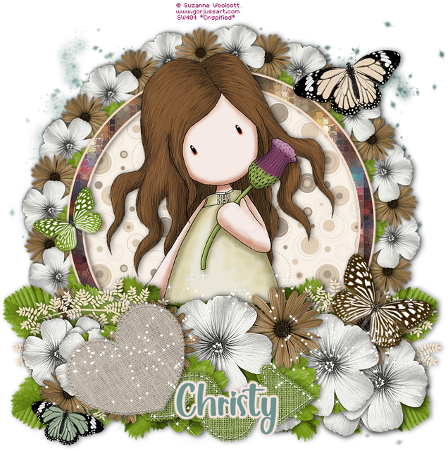 Christy 5070F.png