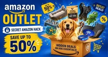 Save 50% on Dog Essentials with Amazon Hack