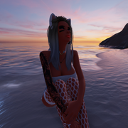Screenshot (953)