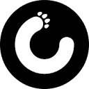 Gemini 2 logo