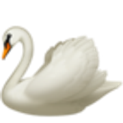 swan-1f9a2
